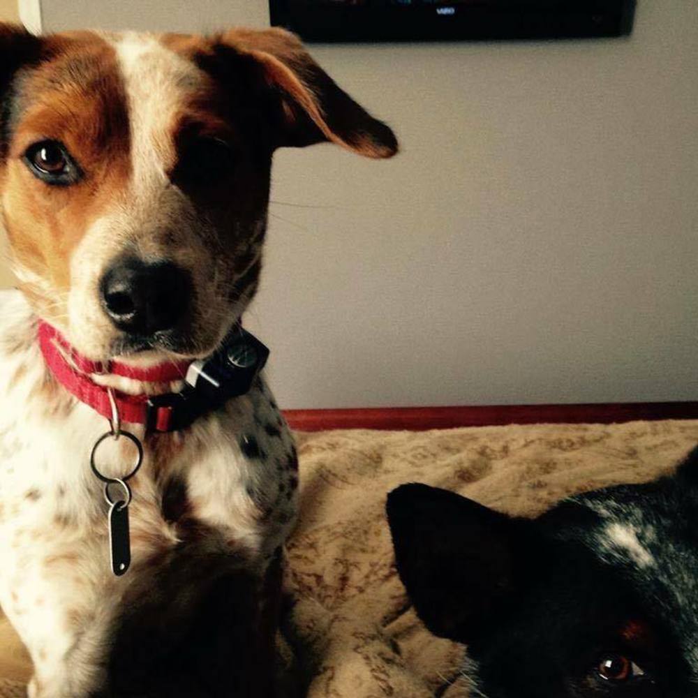 Meet your Posher, Tracy